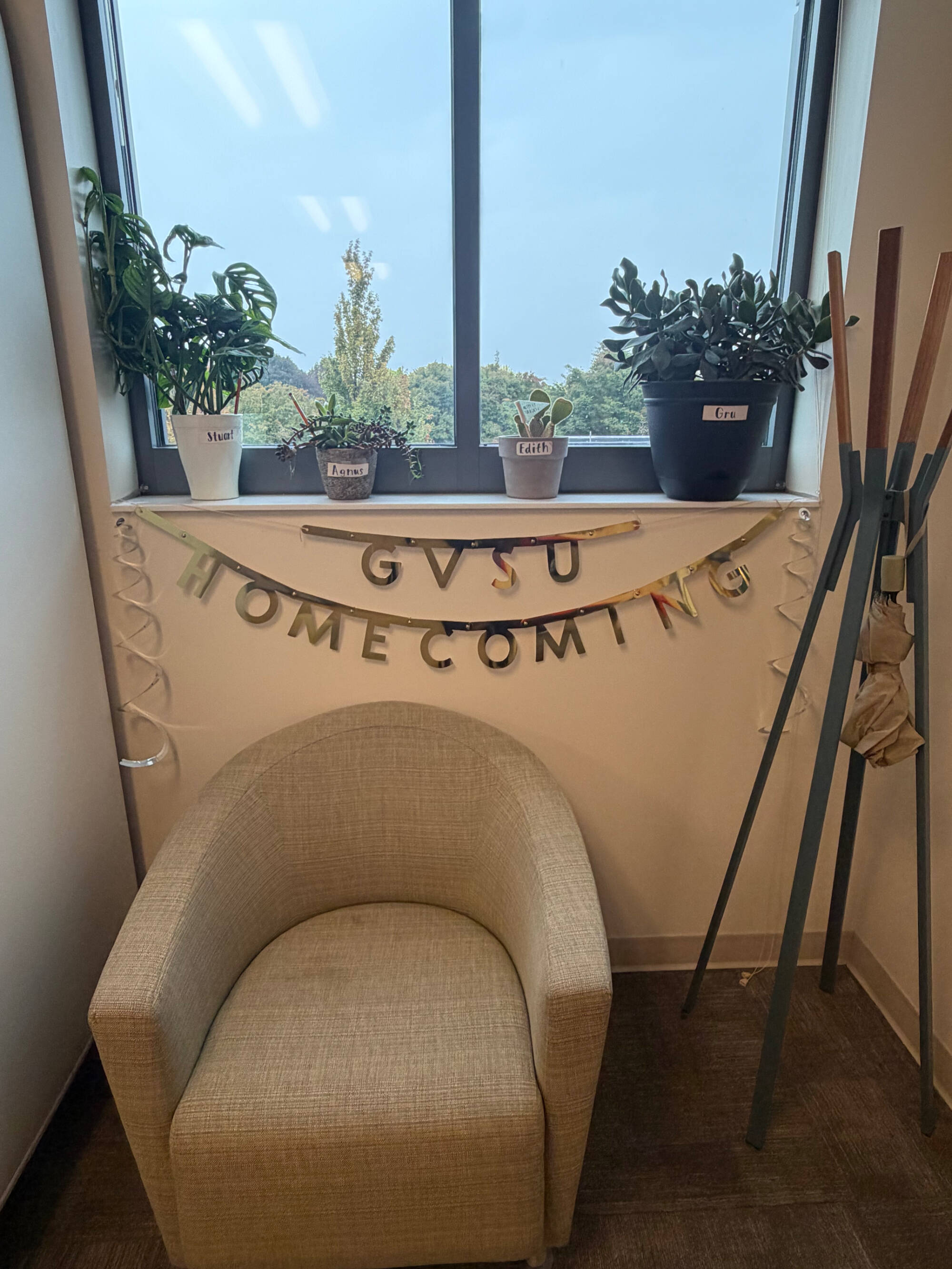 Photo of homecoming decorations